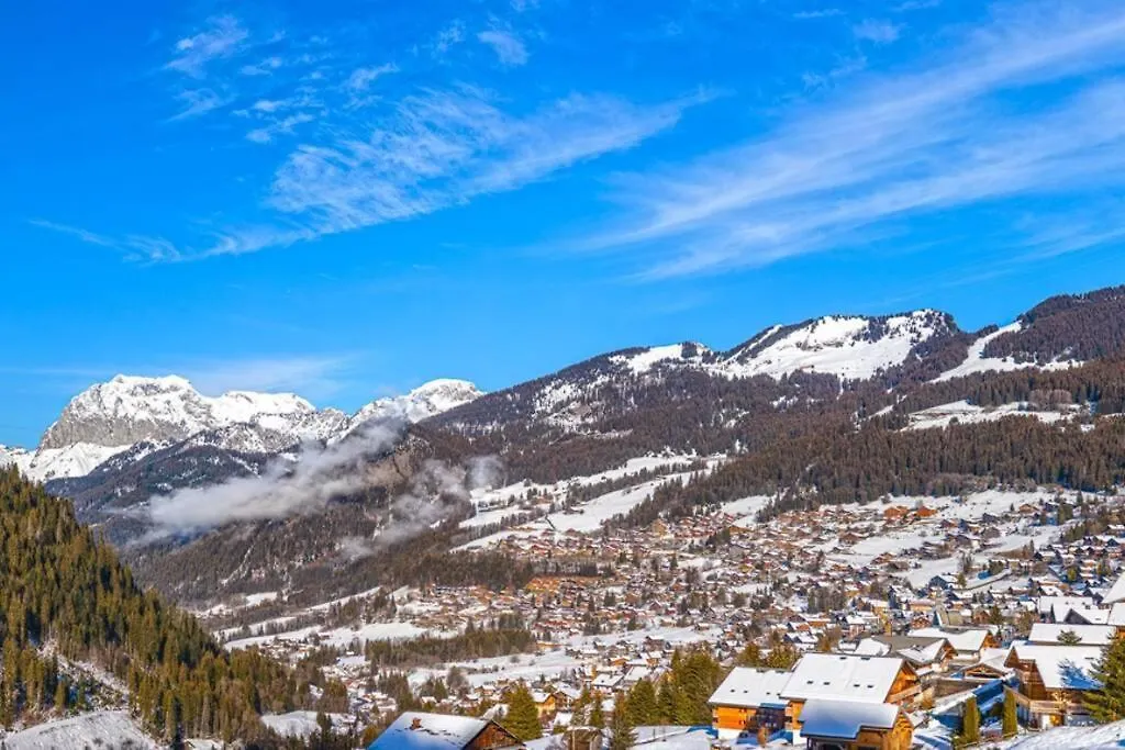 Chalets De Vonnes 8: Mountain Retreat with Optional Multipass Chatel 0*,  France